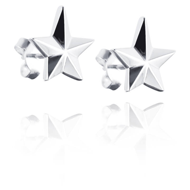 Catch A Falling Star Pendiente Plata en el grupo Pendientes / Pendientes de plata con SCANDINAVIAN JEWELRY DESIGN (12-100-00882-0000)