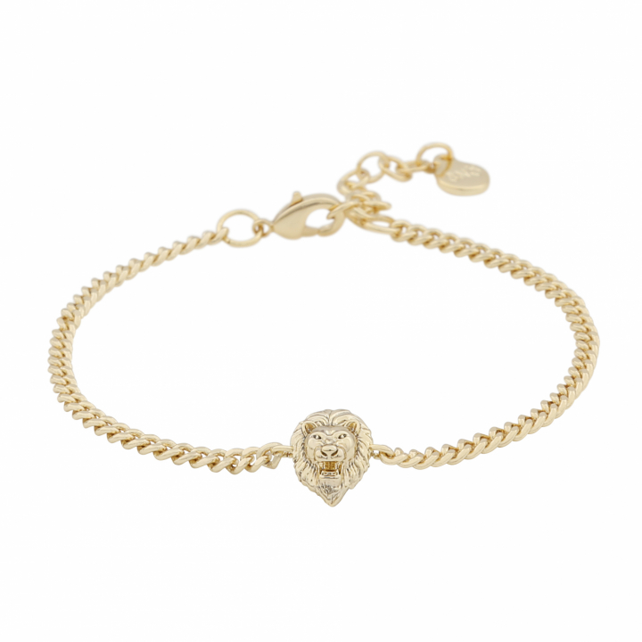 Oz lion chain brace plain Gold-Onesize en el grupo Pulseras / Pulseras de oro con SCANDINAVIAN JEWELRY DESIGN (1286-3400-257-ONE)