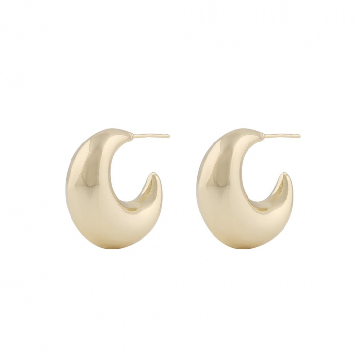 Millie round ear Gold en el grupo Pendientes / Pendientes de oro con SCANDINAVIAN JEWELRY DESIGN (1321-6500-257)