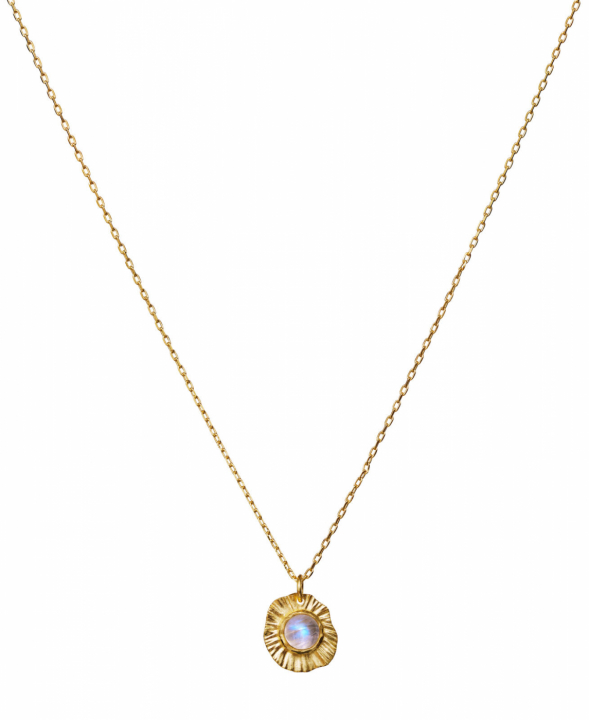 Astra Collares Oro en el grupo Collares / Collares de oro con SCANDINAVIAN JEWELRY DESIGN (2652a)