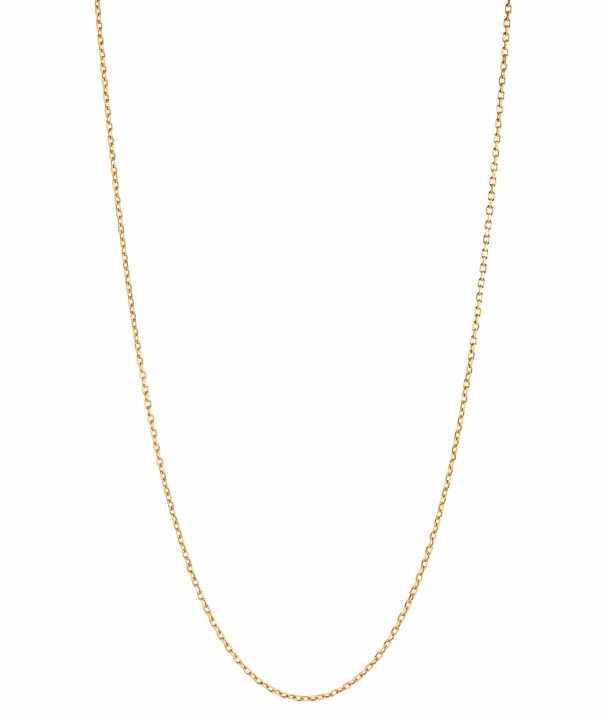 Chain 50 Adjustable Necklace 50 Goldplated Silver (One) en el grupo Collares / Collares de oro con SCANDINAVIAN JEWELRY DESIGN (300370YG-50)