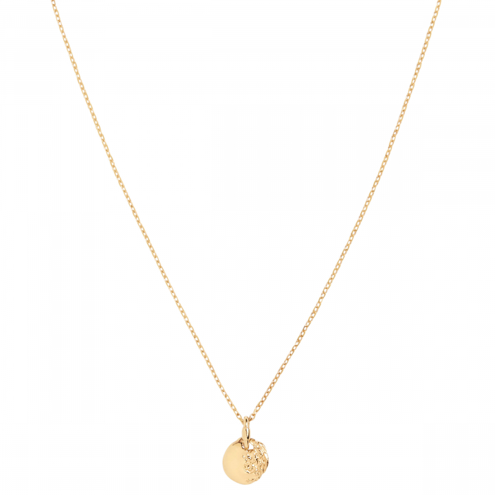 Aspen 50 Necklace Goldplated Silver (One) en el grupo Collares / Collares de oro con SCANDINAVIAN JEWELRY DESIGN (300460YG-50)