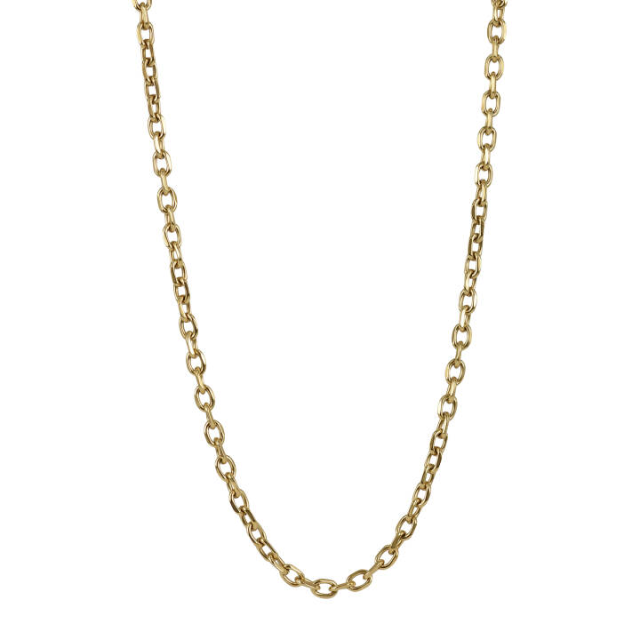 CHARLIE Chain Collares Oro en el grupo Collares / Collares de oro con SCANDINAVIAN JEWELRY DESIGN (365885)