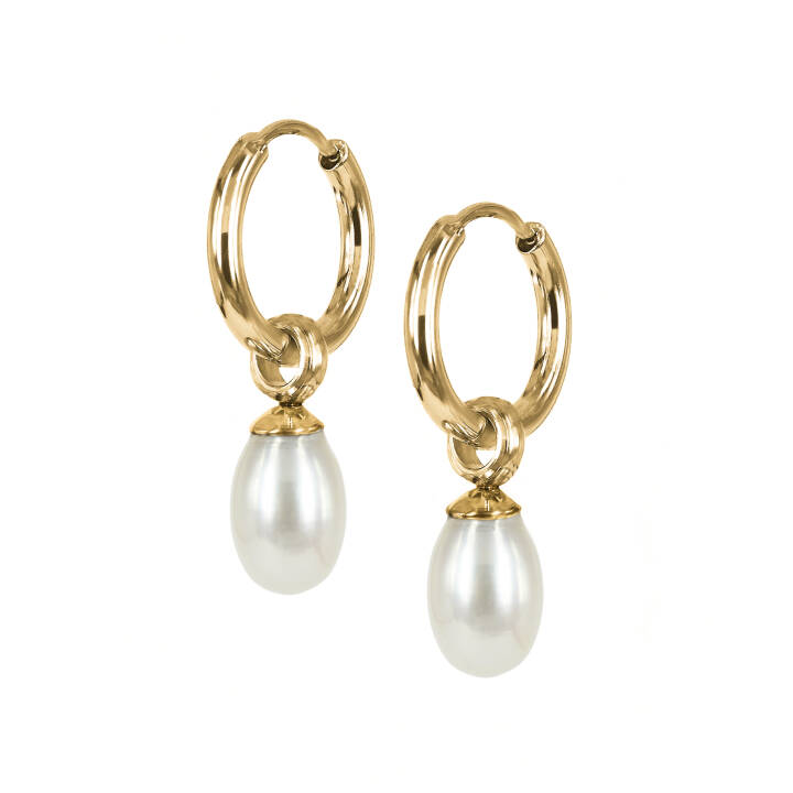 PALMA Pendientes Oro en el grupo Pendientes / Pendientes de perlas con SCANDINAVIAN JEWELRY DESIGN (400104)