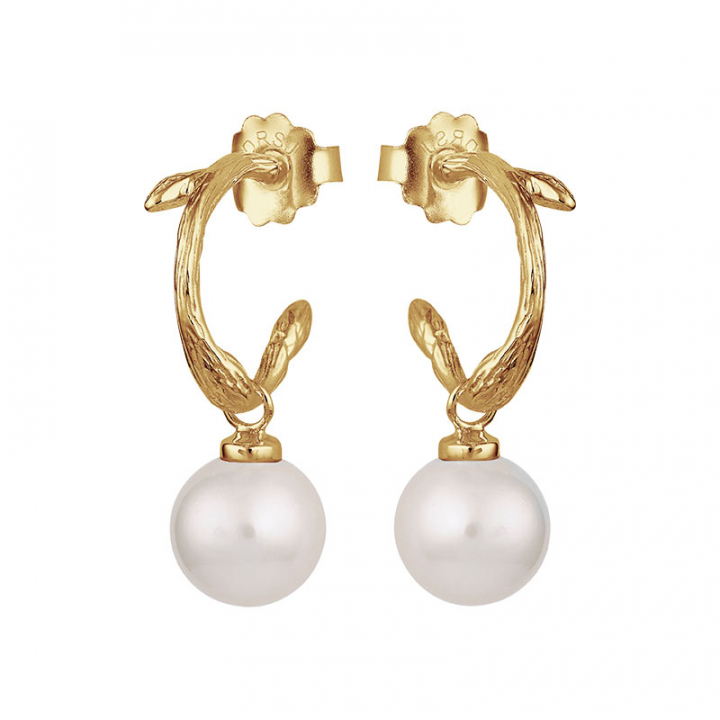 Branch pearl hoops gold en el grupo Pendientes / Pendientes de perlas con SCANDINAVIAN JEWELRY DESIGN (BAH-E1M200-G)
