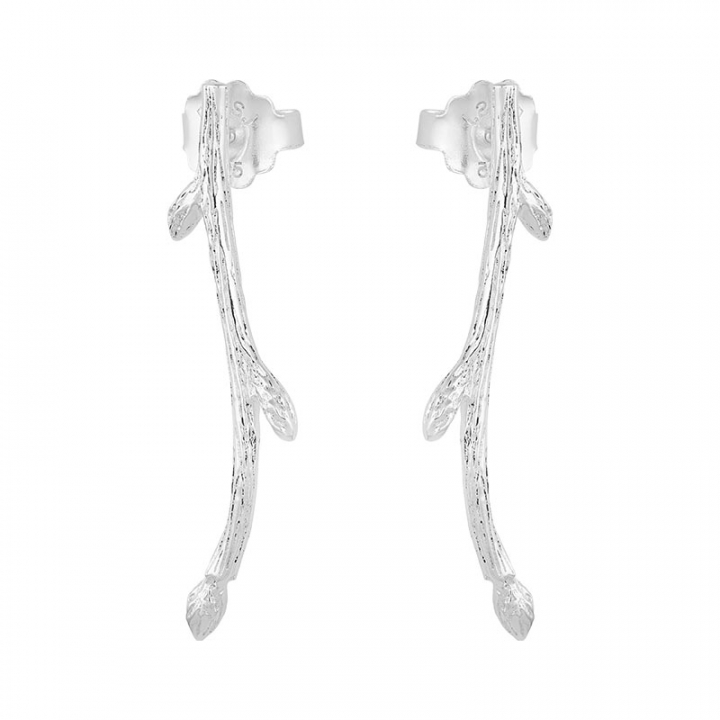 Branch earrings en el grupo Pendientes / Pendientes de plata con SCANDINAVIAN JEWELRY DESIGN (BAH-E2M000-S)