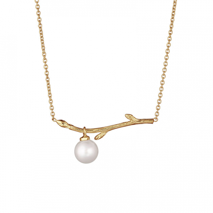 Branch pearl necklace gold en el grupo Pendientes / Pendientes de oro con SCANDINAVIAN JEWELRY DESIGN (BAH-N1M2501-G)