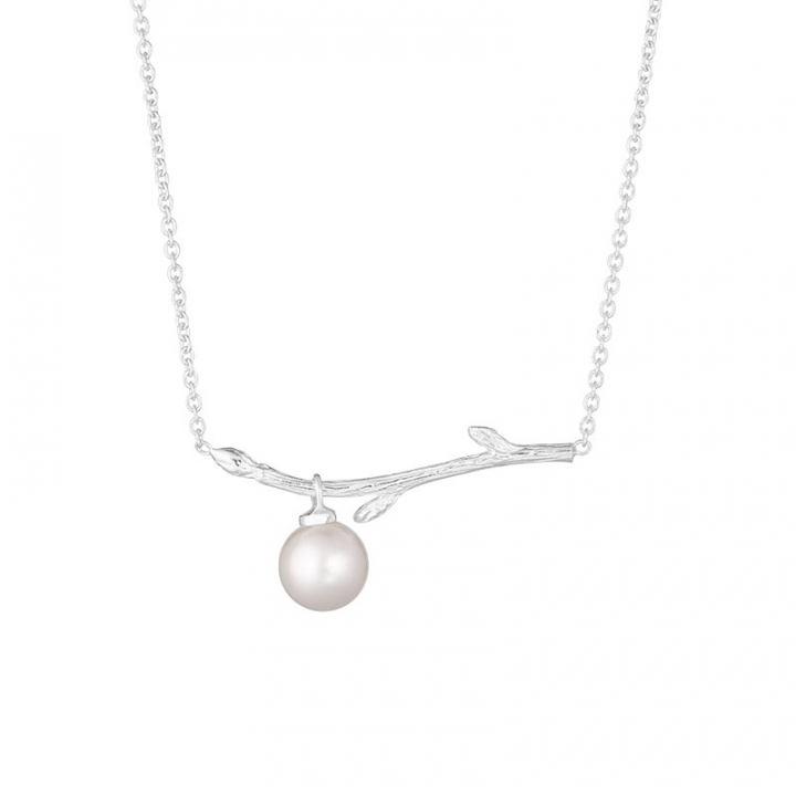 Branch pearl necklace en el grupo Collares / Collares de plata con SCANDINAVIAN JEWELRY DESIGN (BAH-N1M2501-S)