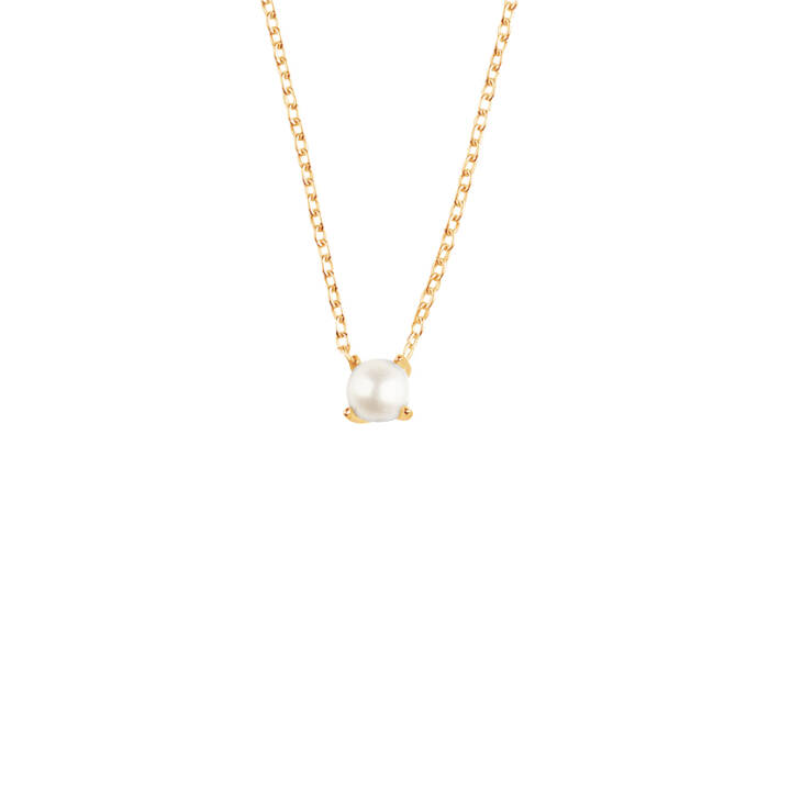 Petite Pearl Collares Oro en el grupo Collares / Collares de oro con SCANDINAVIAN JEWELRY DESIGN (PPL-N1M451-G)