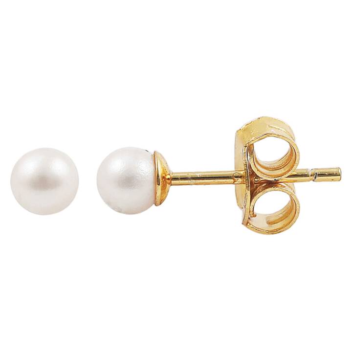 Pearl earsticker Pendientes Oro en el grupo Pendientes / Pendientes de perlas con SCANDINAVIAN JEWELRY DESIGN (S08256G)